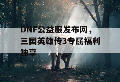 DNF公益服发布网，三国英雄传3专属福利独享