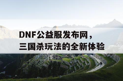 DNF公益服发布网，三国杀玩法的全新体验