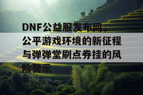 DNF公益服发布网，公平游戏环境的新征程与弹弹堂刷点券挂的风险警示