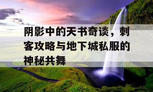 阴影中的天书奇谈，刺客攻略与地下城私服的神秘共舞