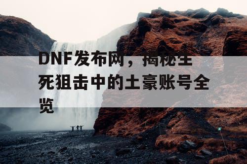 DNF发布网，揭秘生死狙击中的土豪账号全览