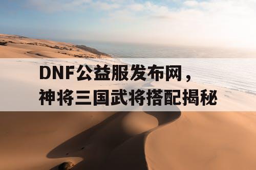 DNF公益服发布网，神将三国武将搭配揭秘